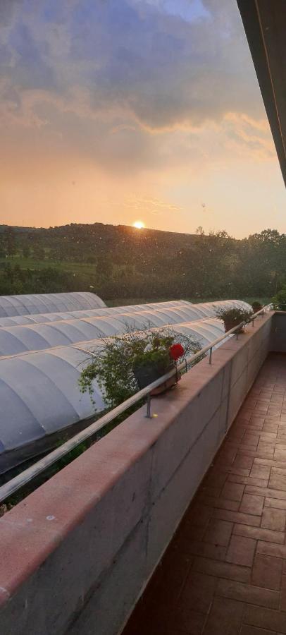 Casa Vacanze Cerreto 3 Miglianico Kültér fotó