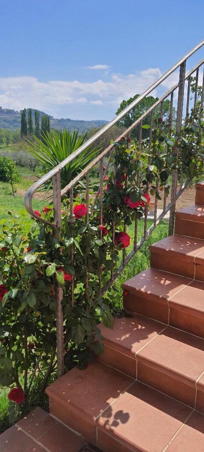 Casa Vacanze Cerreto 3 Miglianico Kültér fotó